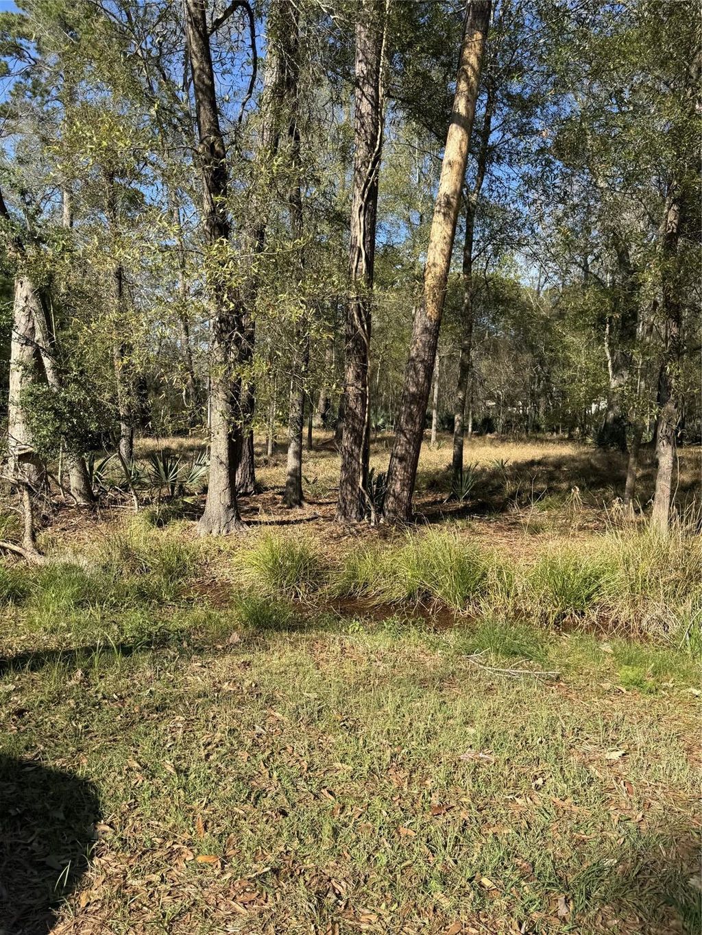 Photo of 164165 Pin Oak Lane, Huffman, TX 77336 (MLS # 94950495)