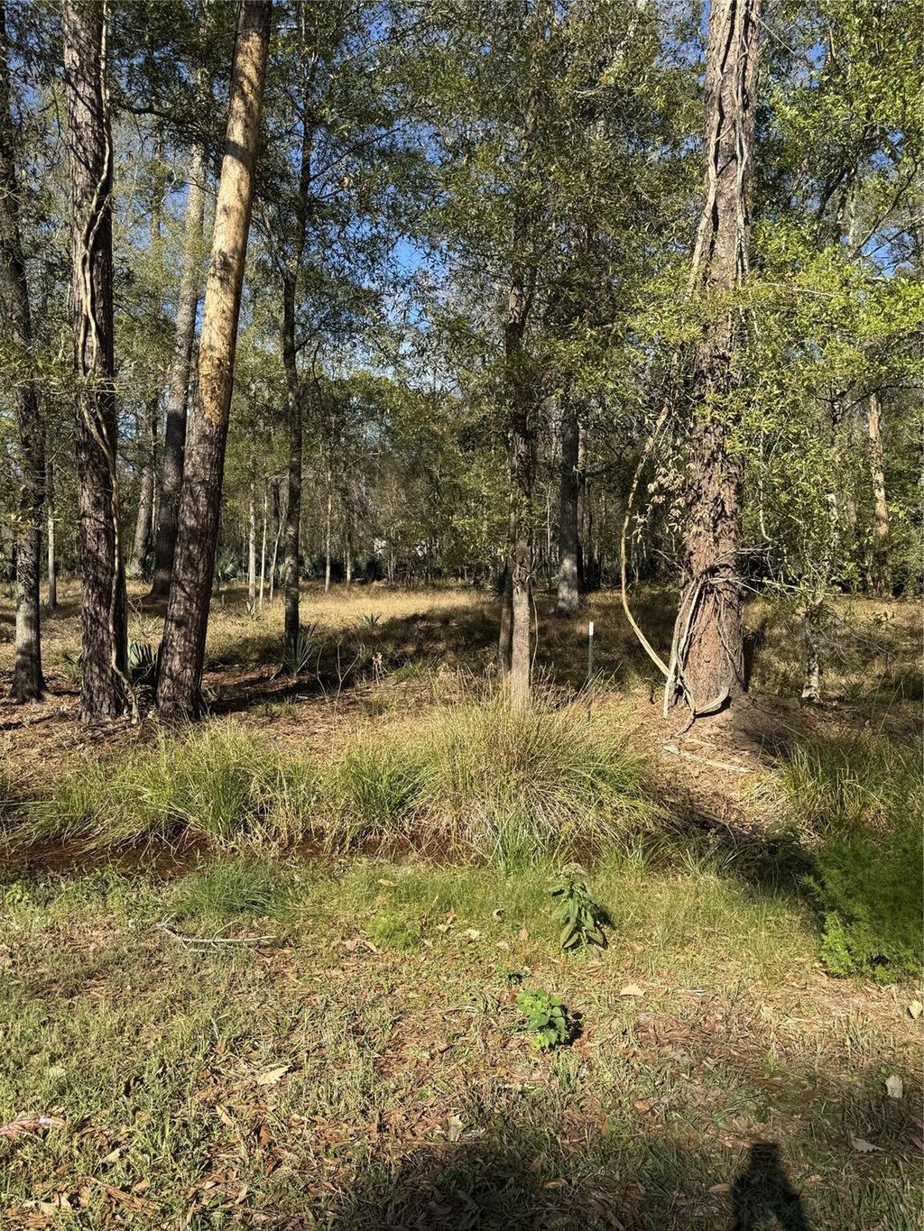 Photo of 164165 Pin Oak Lane, Huffman, TX 77336 (MLS # 94950495)