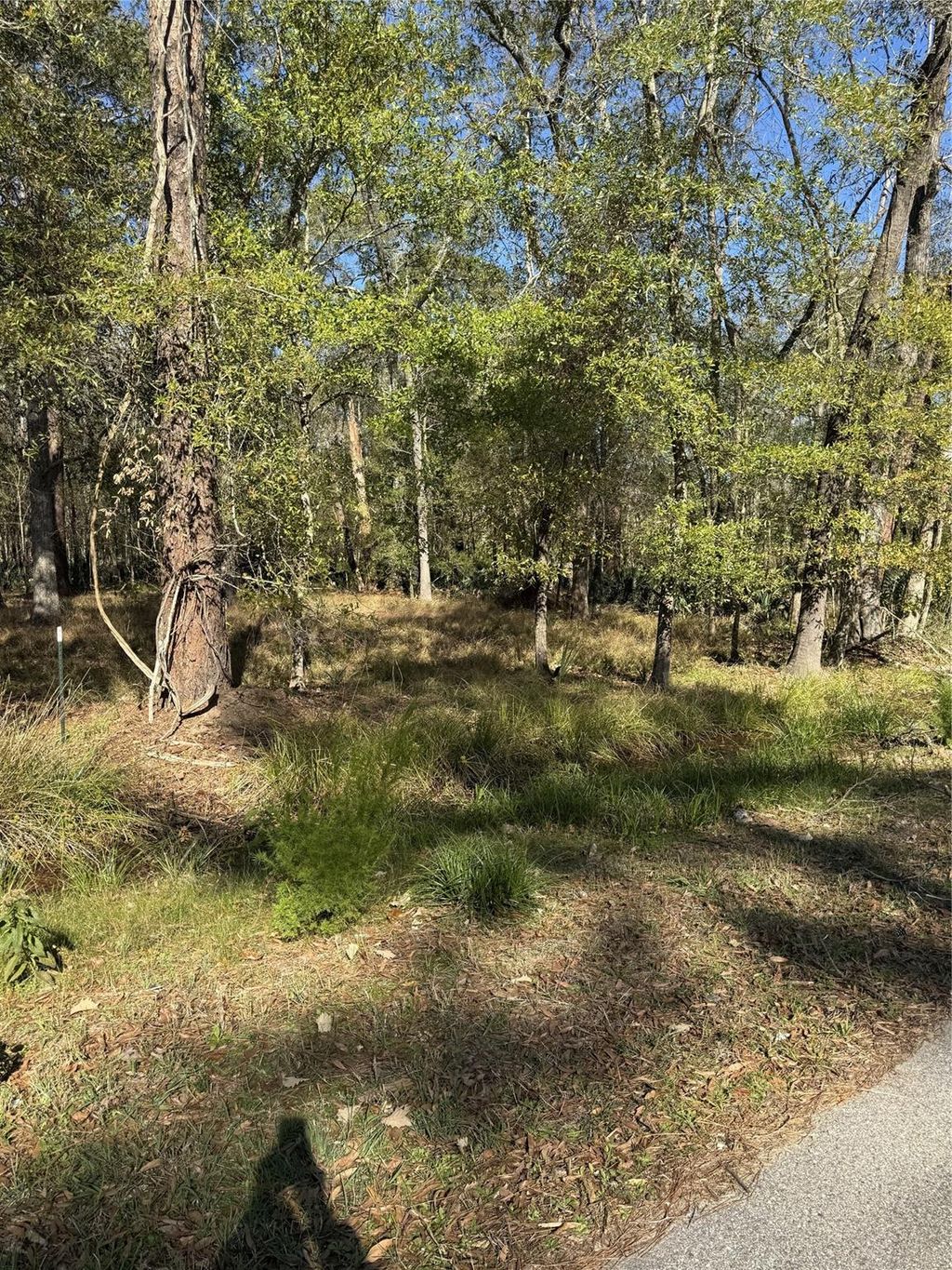 Photo of 164165 Pin Oak Lane, Huffman, TX 77336 (MLS # 94950495)