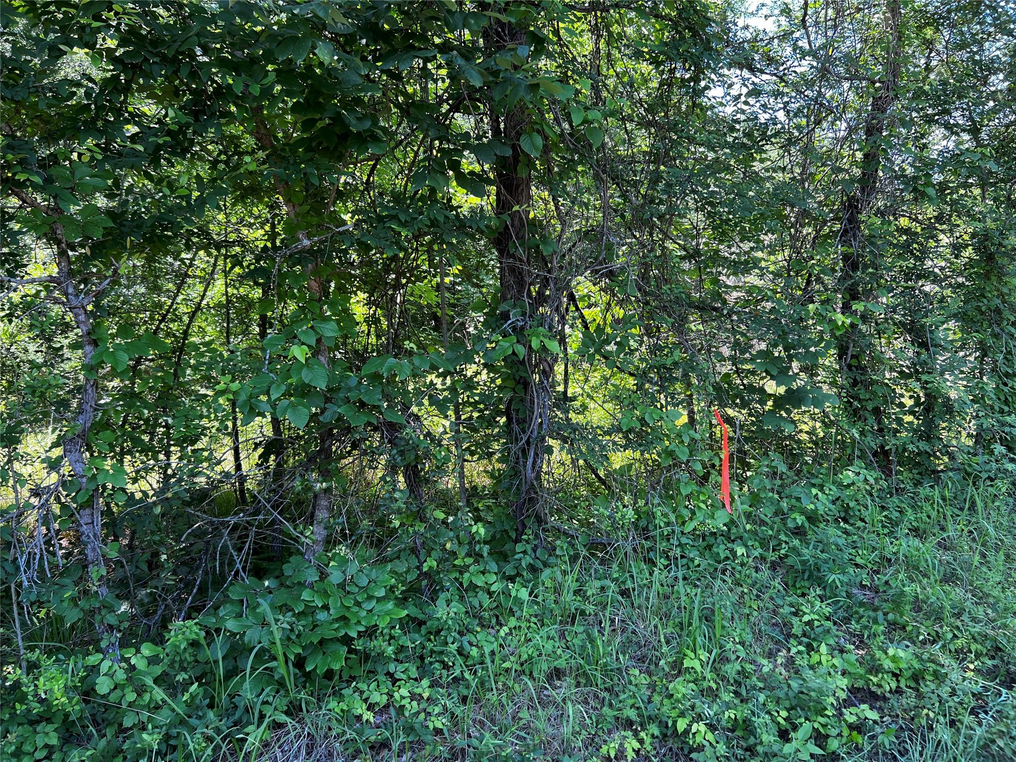 9546 County Road 112