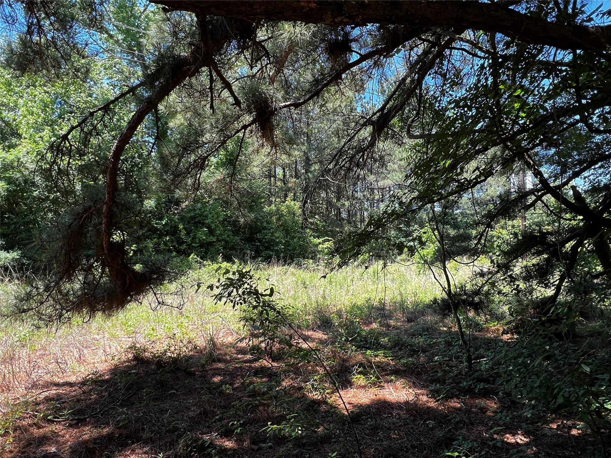 9546 County Road 112