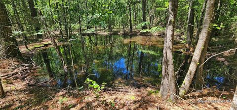 Vacant Land For Sale - TBD Cr 3233 And Cr 3230<br/> Red River County, Clarksville, TX 75426