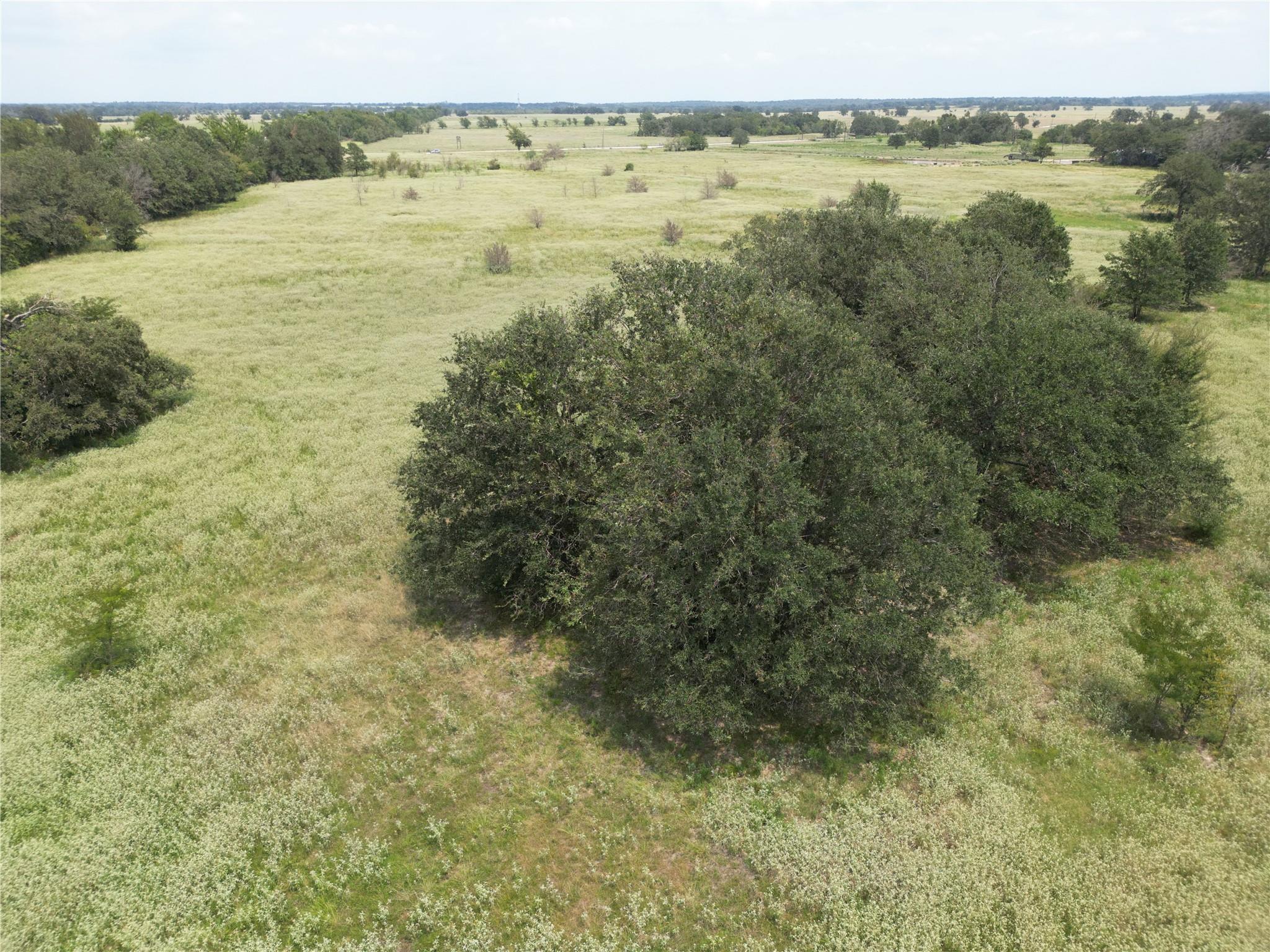 TBD Farm To Market 387