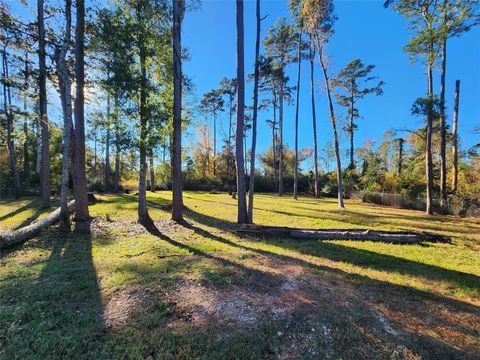 Photo of 350 Brahman, Onalaska, TX 77360 (MLS # 53135687)