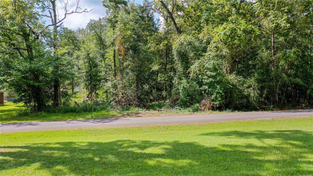 Photo of 2210 Appian Way WAY, New Caney, TX 77357 (MLS # 10236305)