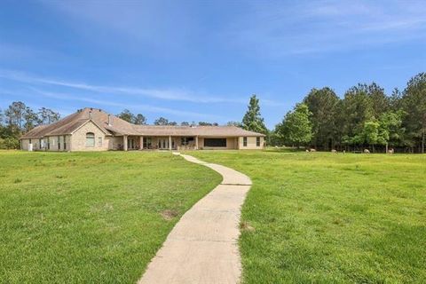 Tiny photo for 2014 Fish Lake Road, Kountze, TX 77625 (MLS # 51580394)