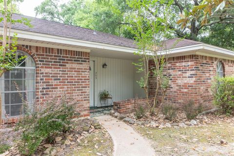 Photo of 203 Sassafras Ln, Village Mills, TX 77663 (MLS # 2632113)