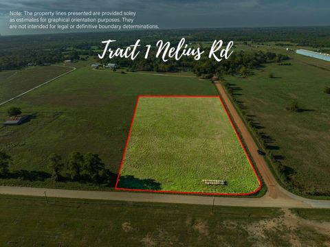 Tract 1 Nelius Road Bellville TX 77418