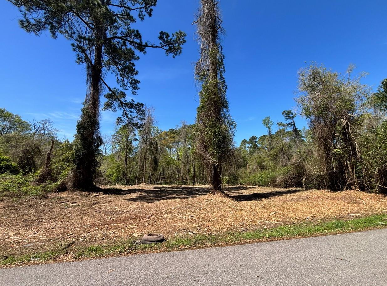 0 Timber Lakes Drive