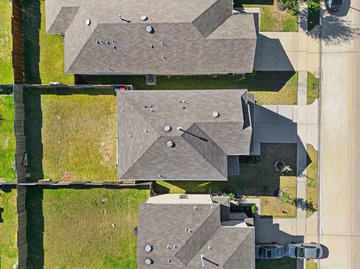 25639 Royal Catchfly Road