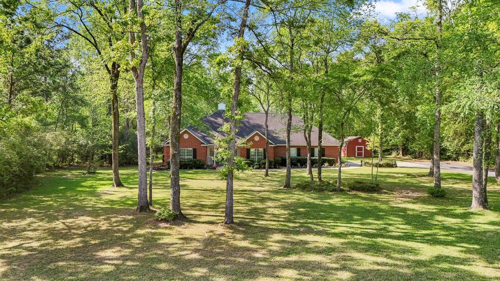 Photo of 8911 Diamante Drive, Magnolia, TX 77354 (MLS # 10291184)
