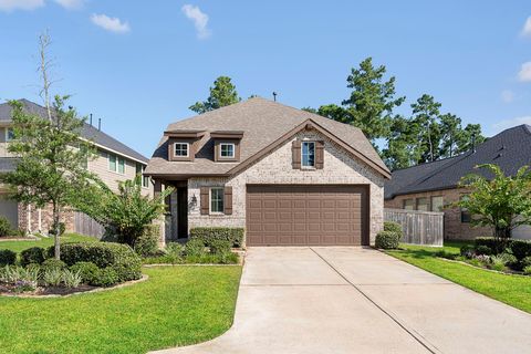 Photo of 421 Soapberry Tree Court, Conroe, TX 77318 (MLS # 62222052)