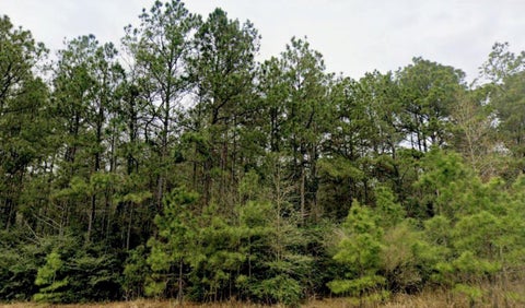 Vacant Land For Sale - 15588 Intrepid Lane<br/> Willis, TX 77378
