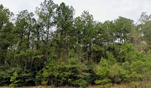 15588 Intrepid Lane Willis TX 77378