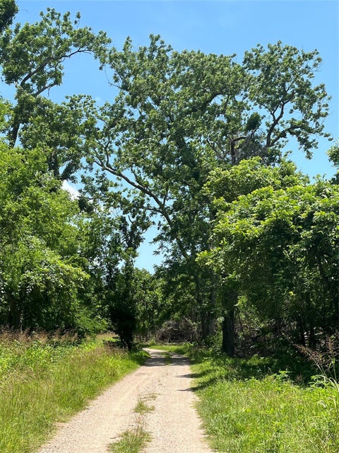 Photo of 0 Oyster Creek Drive, Baileys Prairie, TX 77515 (MLS # 69440081)