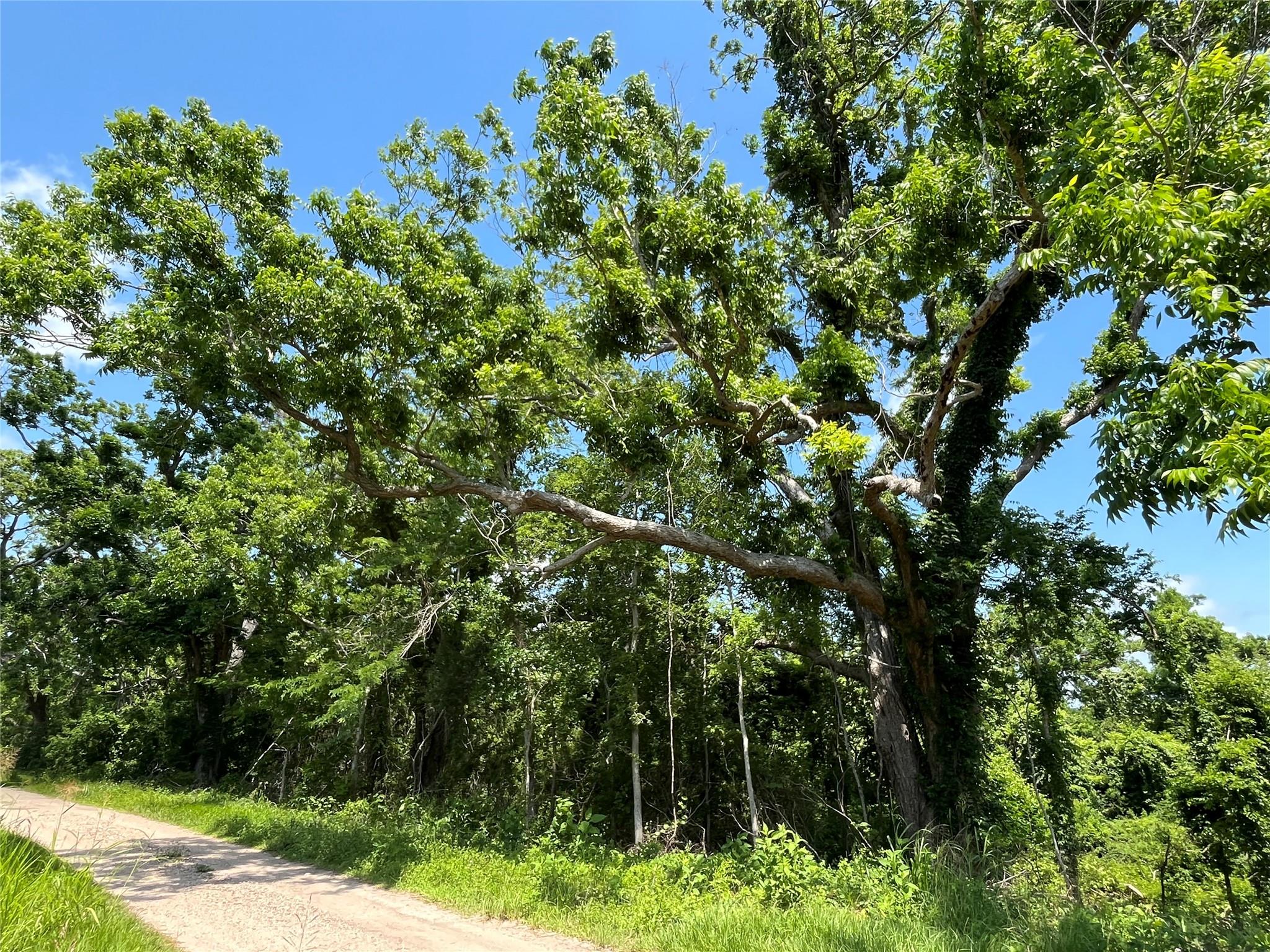 0 Oyster Creek Drive