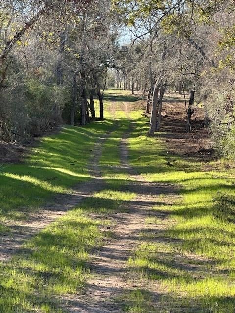 TBD County Road 134