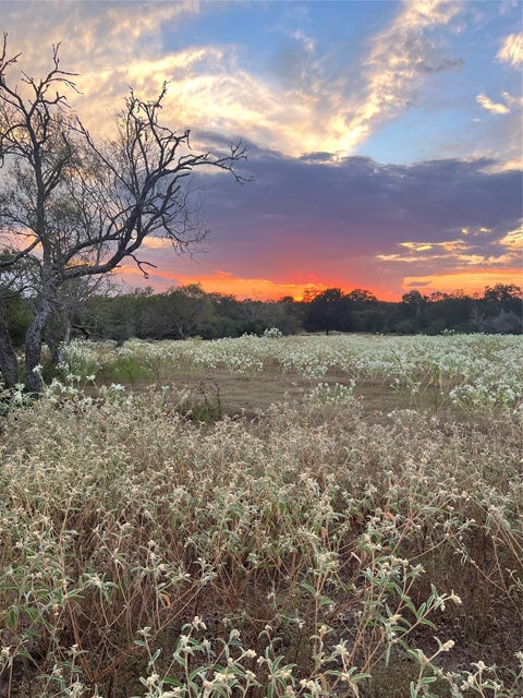 Photo of TBD County Road 134, Hallettsville, TX 77964 (MLS # 80810218)