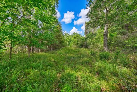 Photo of 4321 Gaskamp Road, Washington, TX 77880 (MLS # 77615713)