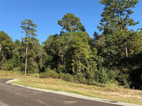 Photo of 236 Hollow Hill Drive, Huntsville, TX 77358 (MLS # 11342373)