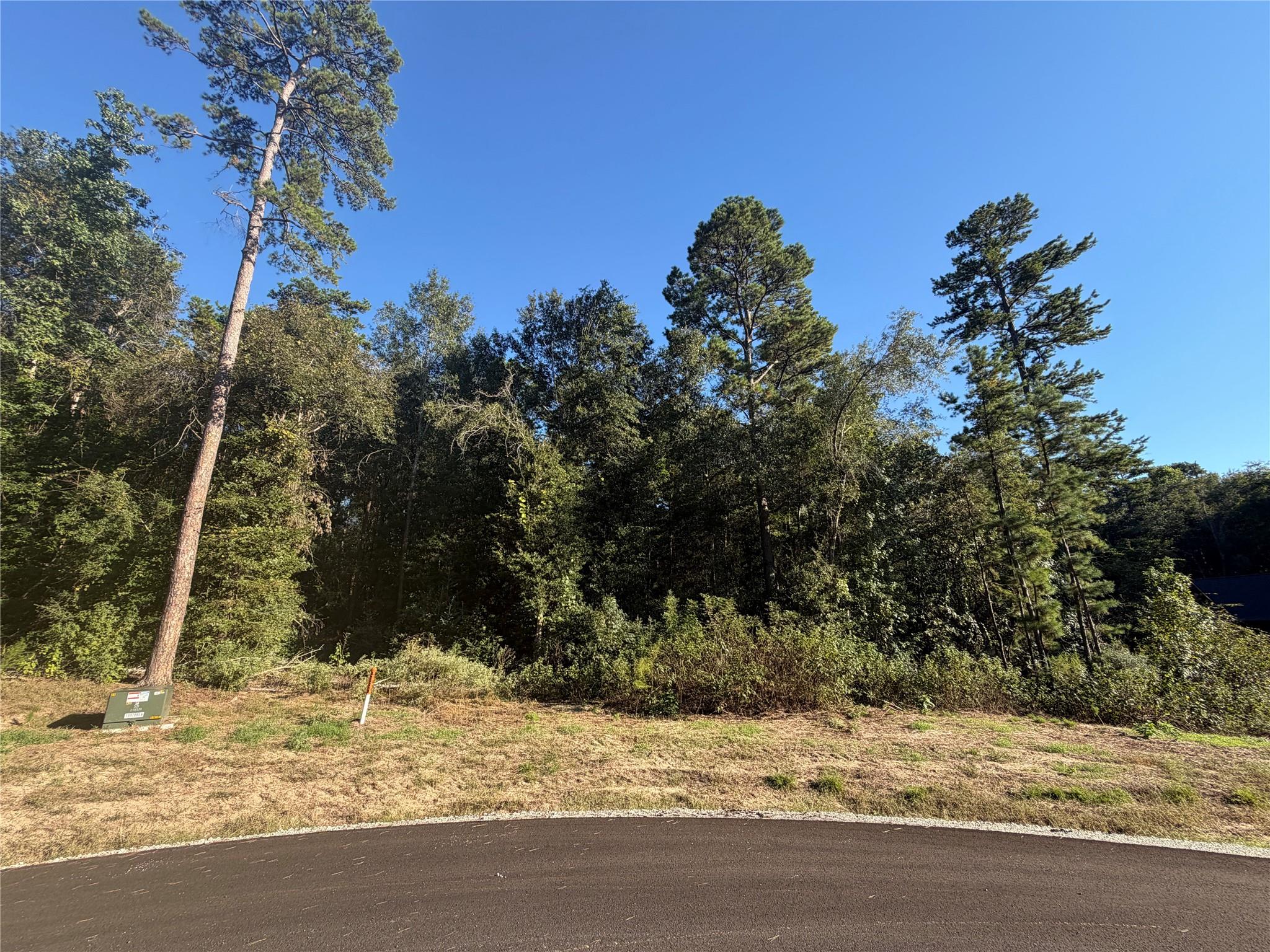 236 Hollow Hill Drive