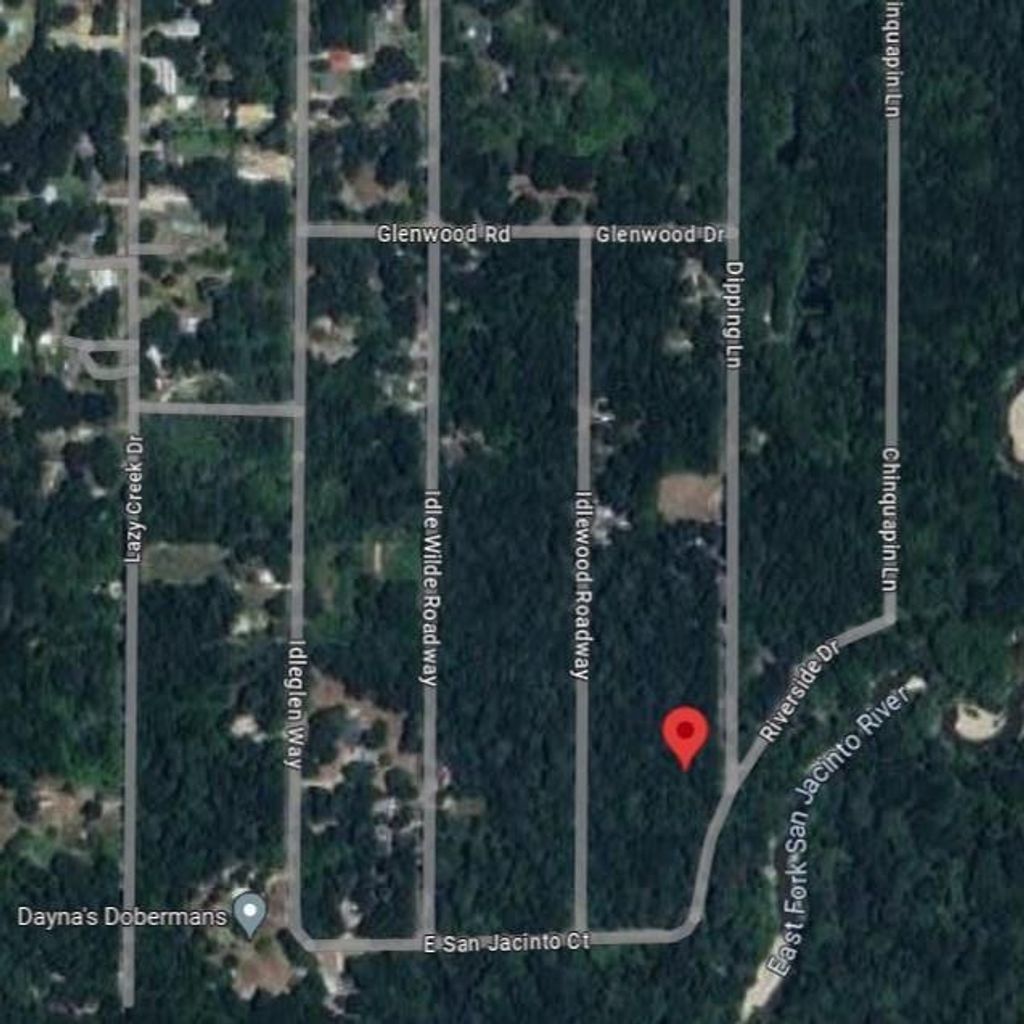 Photo of 0 Riverside Drive Drive, New Caney, TX 77357 (MLS # 13392230)