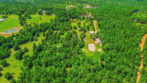Photo of 1239 Tony Peebles Road, Livingston, TX 77351 (MLS # 19116234)