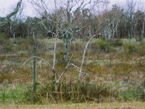 Photo of 27235 Fm-2004, Angleton, TX 77515 (MLS # 20342036)