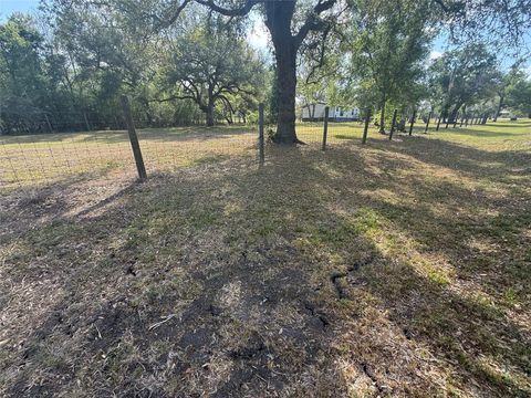 Tiny photo for 5202 Kincer Road, Damon, TX 77430 (MLS # 36991536)