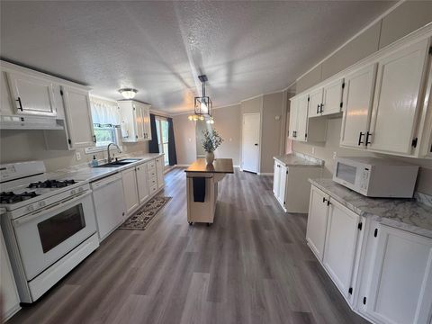 Tiny photo for 5202 Kincer Road, Damon, TX 77430 (MLS # 36991536)