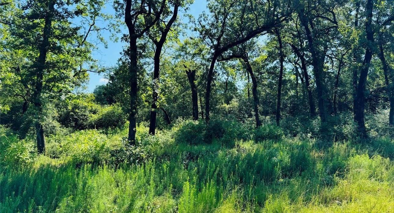 TBD Tract 10 County Road 2925