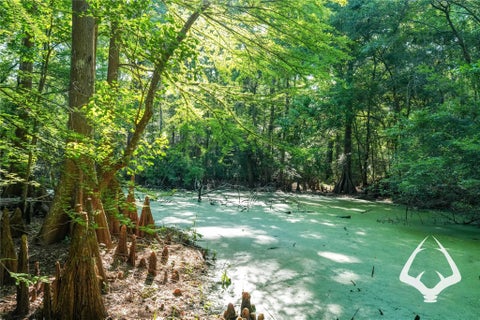 Photo of 0 Hwy 69, Colmesneil, TX 75938 (MLS # 40665428)