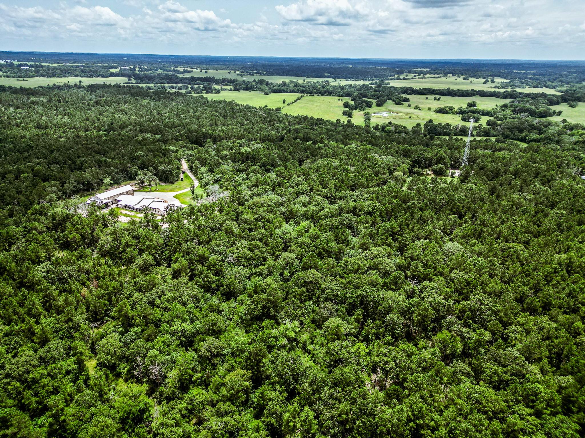 TBA State Highway 75 N