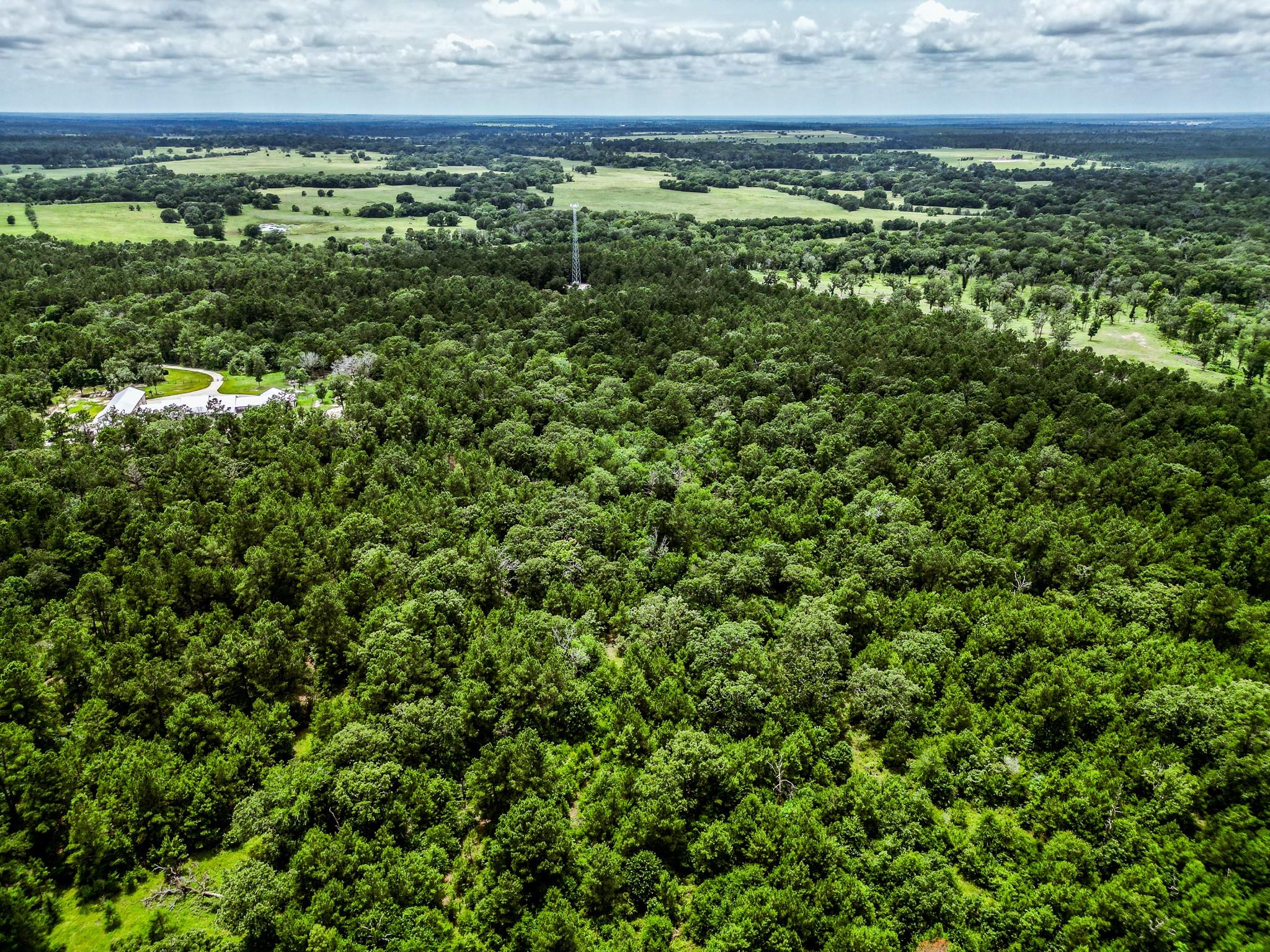 TBA State Highway 75 N