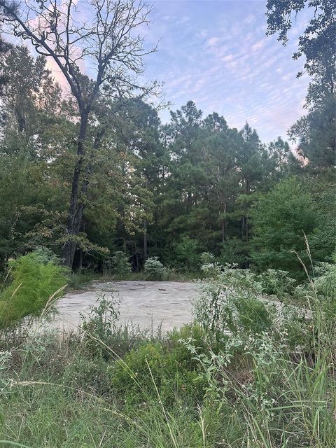 Photo of 451 11th Street, Onalaska, TX 77360 (MLS # 96525785)