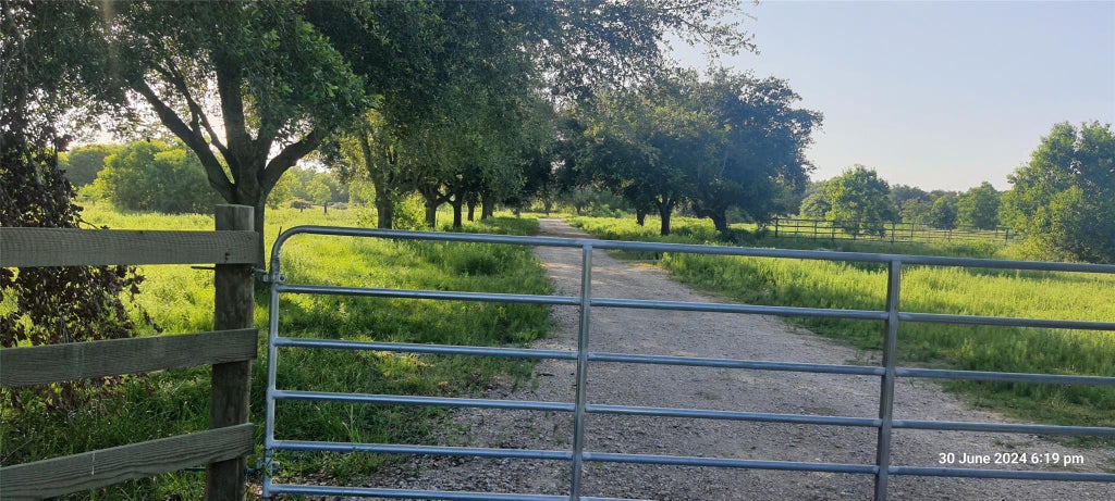 Photo of 28828 Fm 1462 Road, Damon, TX 77430 (MLS # 71548006)