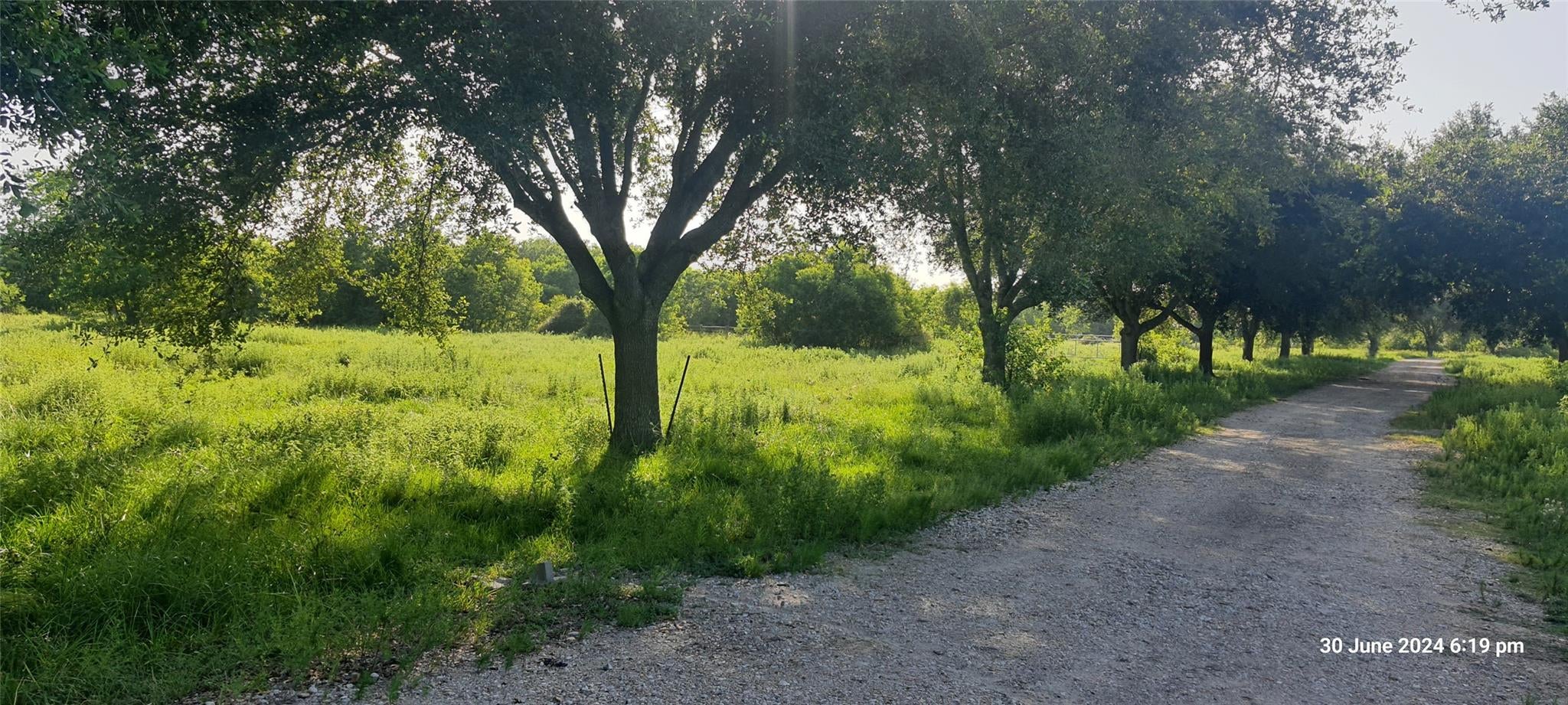 28828 Fm 1462 Road