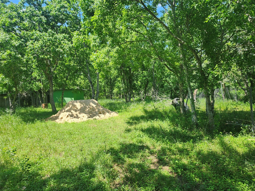 Photo of 28828 Fm 1462 Road, Damon, TX 77430 (MLS # 71548006)