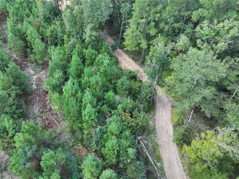 02 Bracewell Cemetery Road Livingston TX 77351