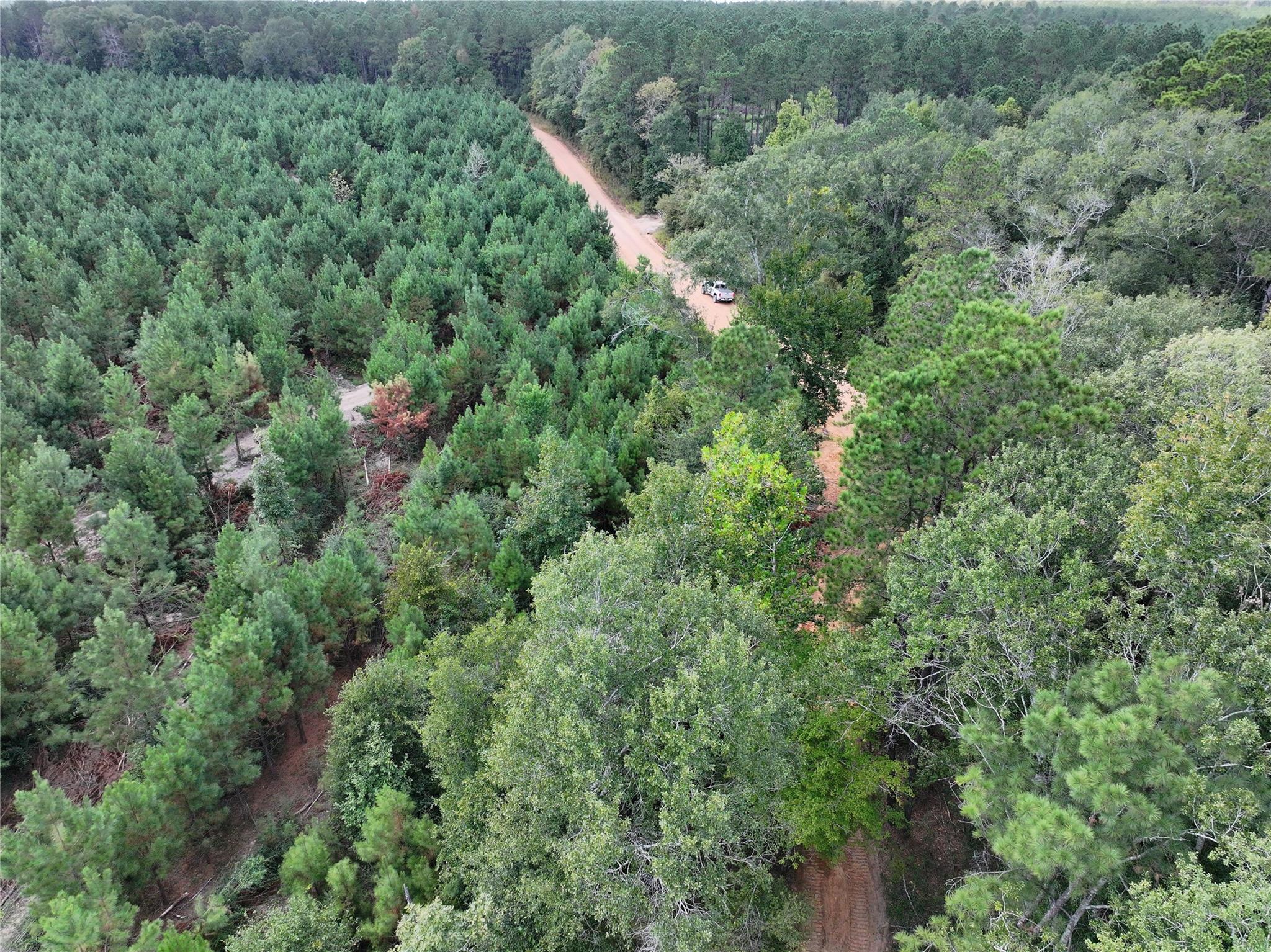 02 Bracewell Cemetery Road