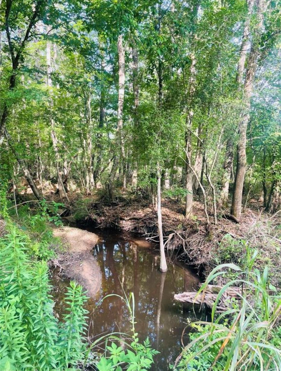 02 Bracewell Cemetery Road