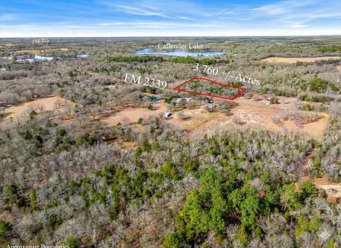 Vacant Land For Sale - LOT 202122 Fm 2339 Callender Lake X<br/> Van Zandt County, Murchison, TX 75778