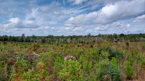 Vacant Land For Sale - 000 Pr 6150<br/> Tyler County, Woodville, TX 75979