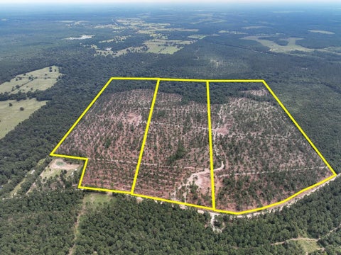 Vacant Land For Sale - 32 Boontown Road<br/> Trinity County, Groveton, TX 75845