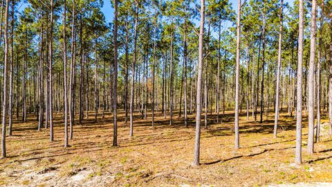 Vacant Land For Sale - 0013 Big Buck Drive<br/> Moscow, TX 75960