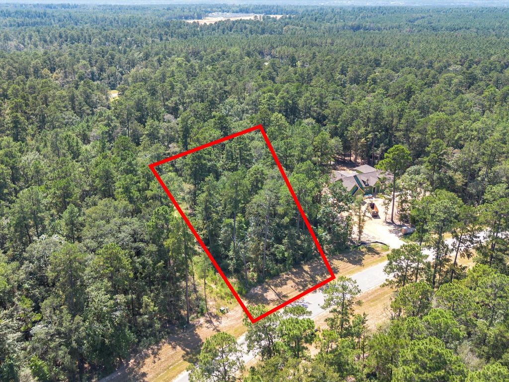 Photo of 15621 Wood Grove Way, Willis, TX 77378 (MLS # 8608276)