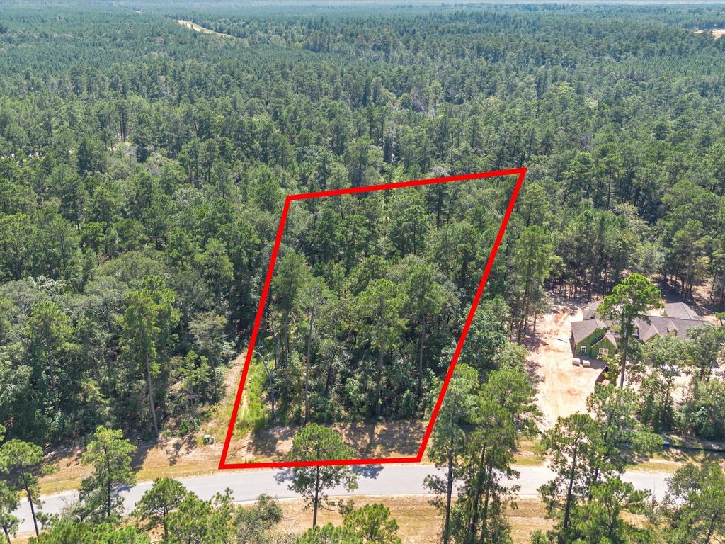 Photo of 15621 Wood Grove Way, Willis, TX 77378 (MLS # 8608276)