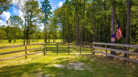 Photo of 1236 Spencer 1 Road, Groveton, TX 75845 (MLS # 60366931)
