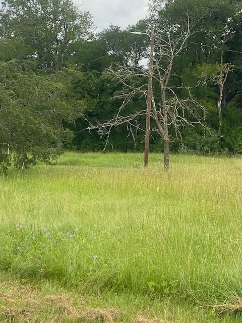 Photo of 3284 County Road 117, Bedias, TX 77831 (MLS # 53279135)