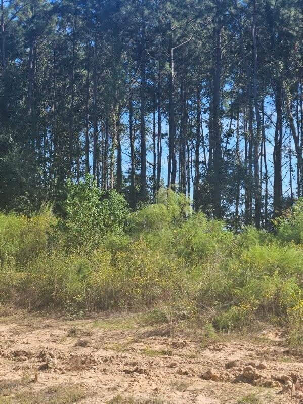 2055 Road 5913
